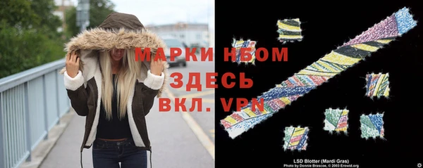 сатива Коряжма
