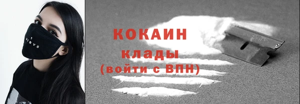 сатива Коряжма