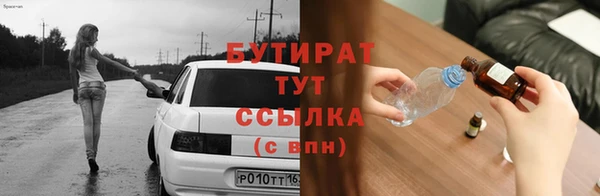 сатива Коряжма