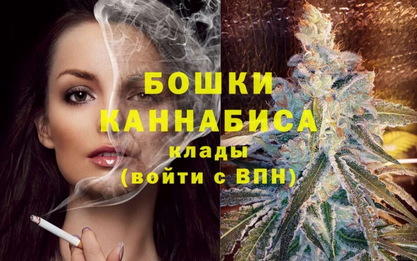 сатива Коряжма