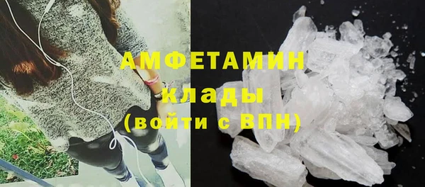 сатива Коряжма