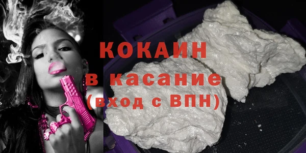 сатива Коряжма