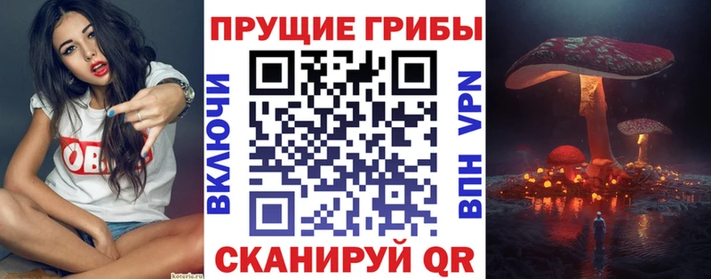 где купить   Буинск  Псилоцибиновые грибы ЛСД 